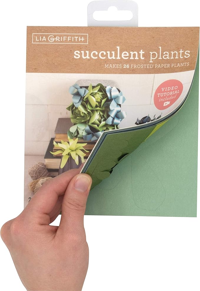 Lia Griffith Succulent Frosted Paper Plants, 6" x 6.5", Colors may vary, 23 Count