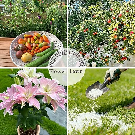 6LB Calcium Nitrate Fertilizer, 15-0-0 Nitrogen Fertilizer with Calcium, Indoor Plant Fertilizer, Plant Food for Houseplants, Lawn, Vegetable, Trees, Boost Stem & Leaf Growth, Improves Root Health
