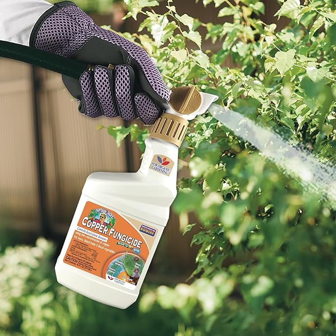 Bonide Captain Jack's Copper Fungicide, 16 oz Ready-to-Spray Disease Control for Organic Gardening, Controls Mildew & Blight