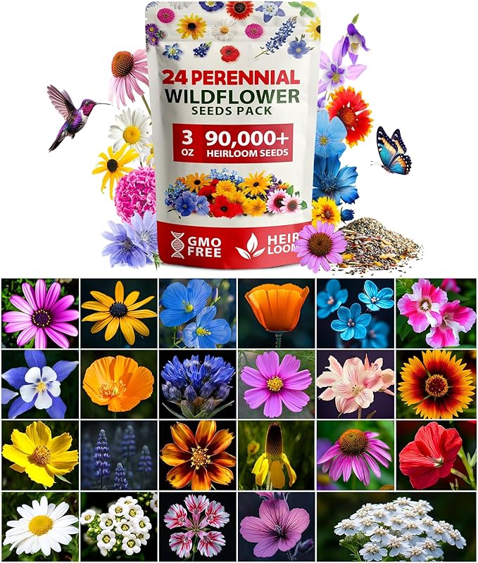 HOME GROWN 𝗨𝗦𝗔 𝗣𝗥𝗘𝗠𝗜𝗨𝗠 90,000+ Wildflower Seeds & Wildflower 134,000 & English Lavender Seeds 1,500