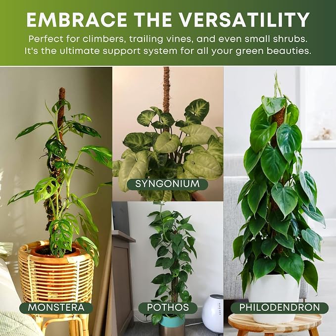 Bendable Moss Pole for Plants | 2 Pack 48 Inch Tall Moss Pole Monstera Plant Support | Large Poles for Climbing Plants | Handmade Coco Coir Plant Pole Sticks for Pothos