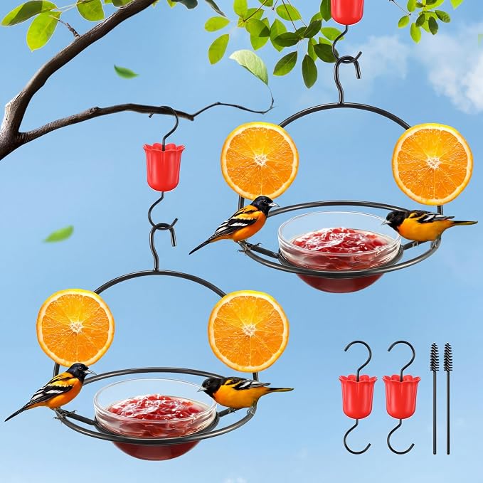 2 Pack Metal Oriole Feeders for Outdoors Hanging with Ant Moat and Fruit Holder, Oriole Feeder with Glass Bowl, Easy to Disassemble and Wash, Bird Feeder for Garden, Outdoor, Gift(Black)