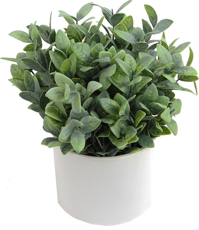 Admired by Nature 8.25" H Artficial Frosted Ruscus Ceramic Potted Plant Indoor Faux Plant décor, Wedding Centerpieces, Tabletop, Home Décor, Office Desk, Kitchen Table Décor or Decor for Shelves