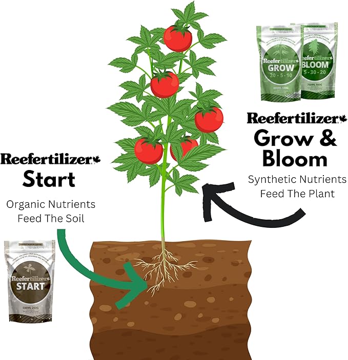 Reefertilizer Start | Mycorrhizal Fungi & Organic Kelp Meal Soil Booster for Transplant and Top Dressing | Root Enhancer and Living Soil Booster