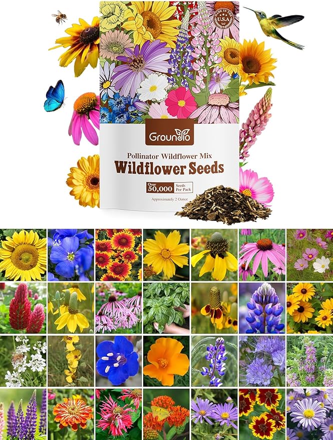 Groundio Wildflower Seeds Mix, 2 Oz, 50,000+ Seeds, 28 Varieties, Attracts Bees, Butterflies & Birds, Colorful Flowers