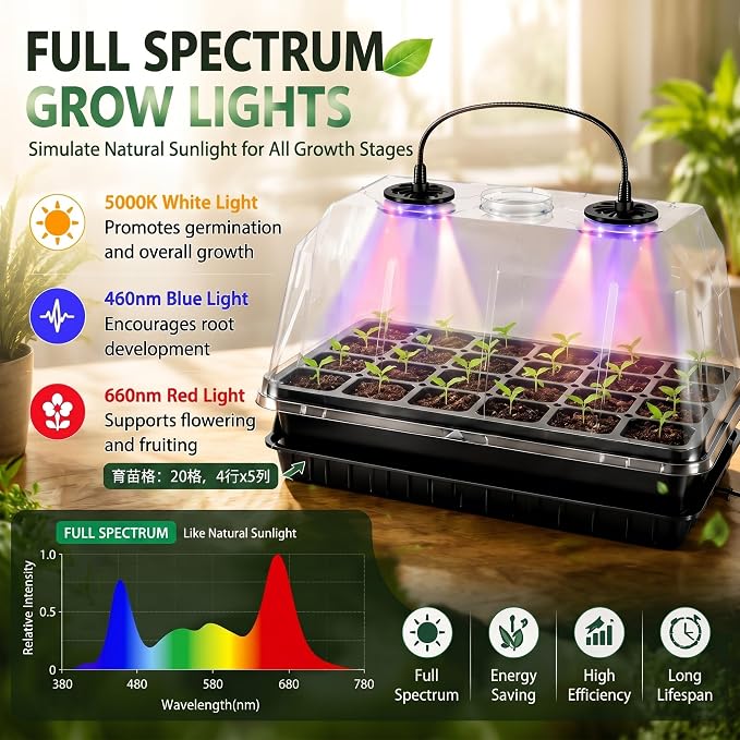 2 Sets 60 Cell Seed Starter Tray with Grow Lights and Heat Mat, Seed Starter Kit with 5.9” Humidity Dome and Vents, Indoor Plant Germination Trays, Seedling Startering Trays for Faster Germination