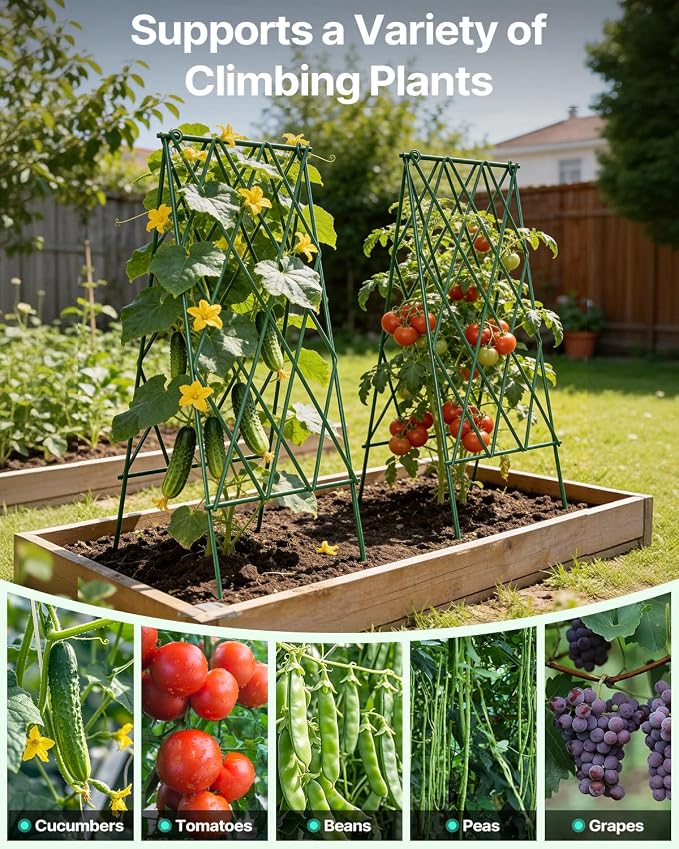 Suteck Cucumber Trellis 39.2" 2 Pack A-Frame – Foldable Metal Garden Trellis for Cucumbers, Peas, Beans & Climbing Plants, No Assembly Required Plant Support, Ideal for Raised Beds, Patios & Backyards