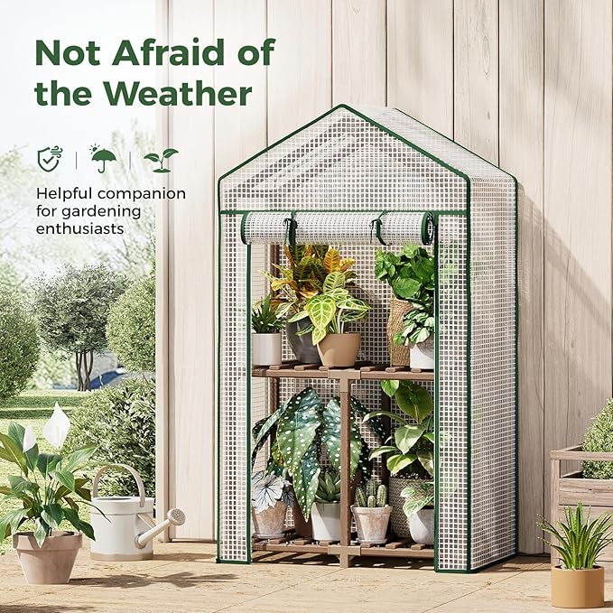 Bamworld Mini Greenhouse Indoor Small Portable 2-Tier Green House for Seed Starting Plant Grow Warmer and Home Gardening Display