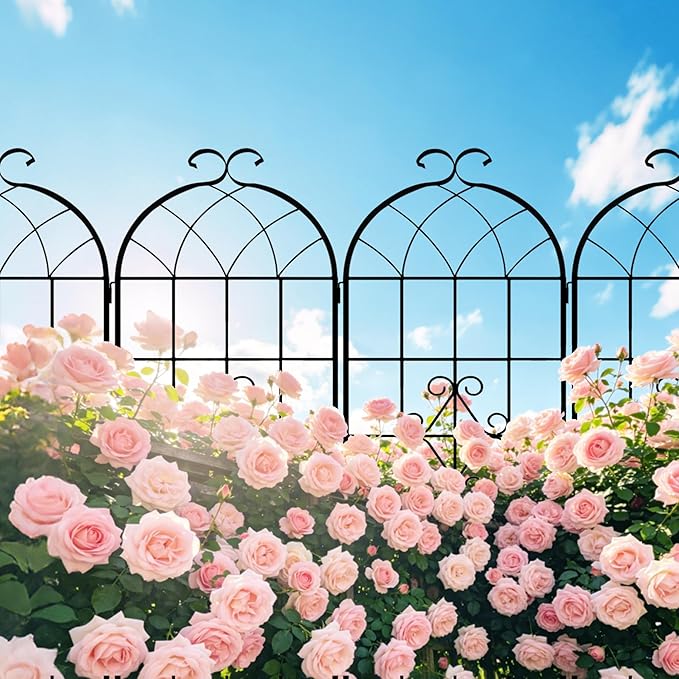 LZRS 4 Pack 78.7x20in Rustic Iron Arch Decoration Garden Trellis with Black Metal Coating – Perfect for Supporting Climbing Plants Outdoor, Roses, Vines, Flowers, and Vegetables.