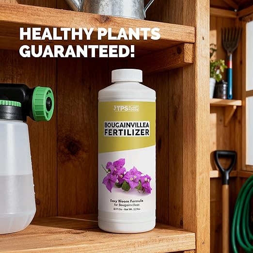 Bougainvillea Fertilizer – Liquid Plant Food for More Blooms, Brighter Color & Fuller Growth, 32 oz