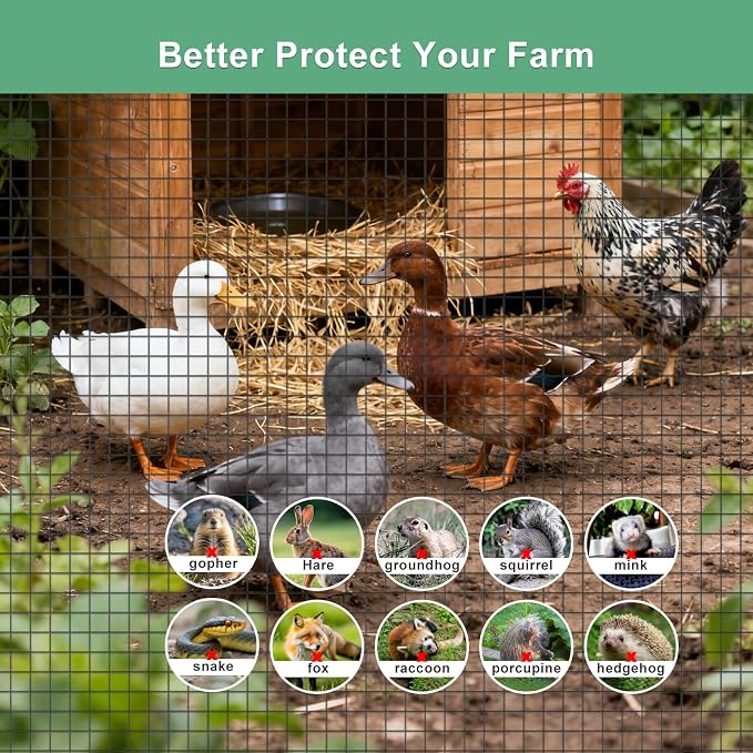 Galvanized Black Vinyl Coated Hardware Cloth | 1/2 Inch Mesh 19 Gauge 48"x100' | Rust & Corrosion Resistant, Easy Install for Chicken Fencing, Garden Fence, Tree Guard, Gopher Wire
