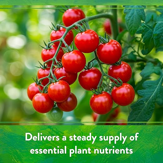 Down To Earth All Natural Fertilizers Organic All Purpose Tomato & Vegetable Mix - Plant Food for Tomatoes, Peppers, Herbs and Flowers 4-6-2, 15 lb