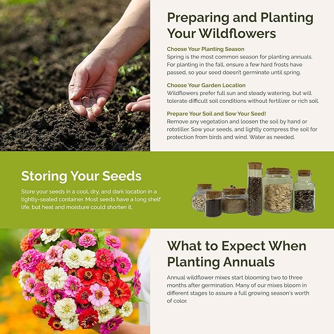 Eden Brothers Zin Master Zinnia Seeds for Planting 2026, 5 lb Flower Seeds Mix 2,400,000+ Seeds – 6 Variety Mix, California Giant, Dahlia, Mexican, Lilliput Zinnia | Non-GMO Garden Seeds, Zones 3-10