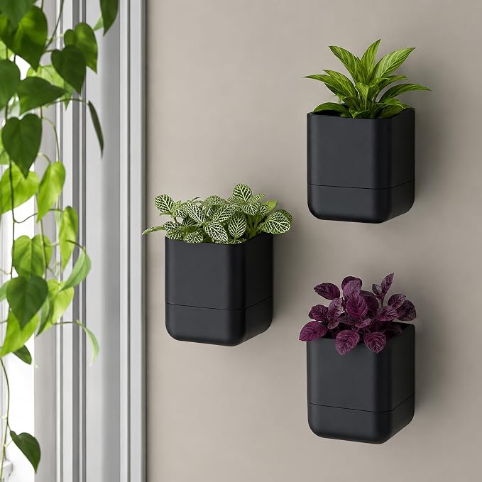 Phoenix Vine 4.5 Inch Wall Mounted Self-Watering Planter Pot for Indoor Houseplants and Herbs | Hanging Planter for Window Sills, Bathroom Walls, Home & Office Décor, Black, Set of 2, 01-B-E-2