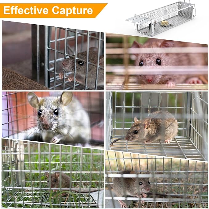 TeqHome 2-Door Humane Rat Cage Trap, Metal Live Animal Trap Cage, Small Humane Catch Release Rodent Cages, Upgraded Indoor & Outdoor Live Traps for Squirrels, Mouse, Rats, Mice - 16.6x6.1x4.33 Inches