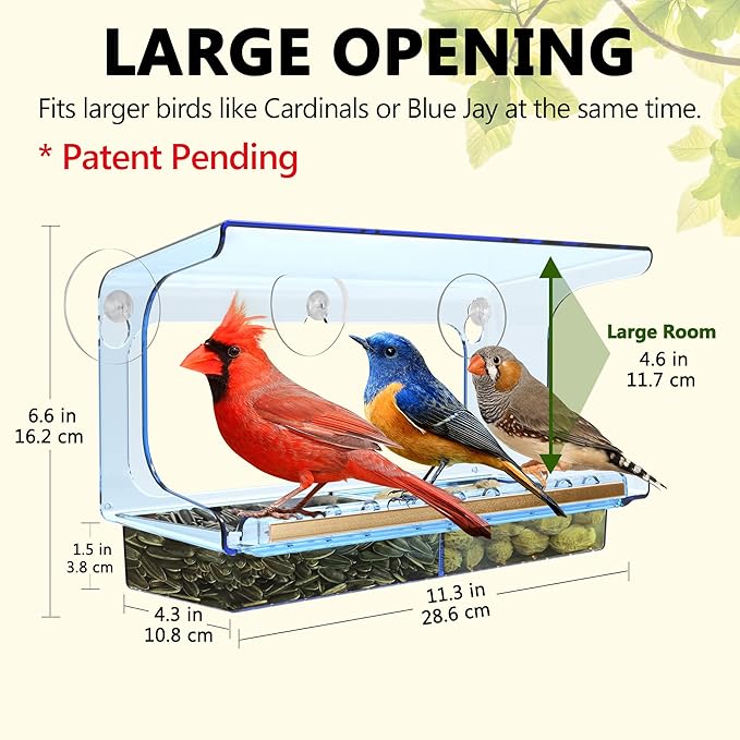LUJII Blue Window Bird Feeder with 5 Super Strong Suction Cups, All One Piece Construction, Removable Seed Tray, Accommodates Large Birds Like Cardinals or Blue Jay for Outside Wild Bird Feeding