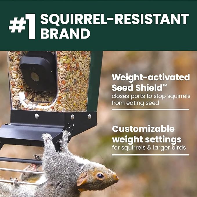 Perky-Pet Solar Powered Smart Bird Feeder with Camera - Squirrel-Resistant, 3.2L Capacity, Motion Activated 1080p HD WiFi Live Stream Camera, SPCAM, SPCAMSLR - Camera Feeder Gift Idea, Forest Green