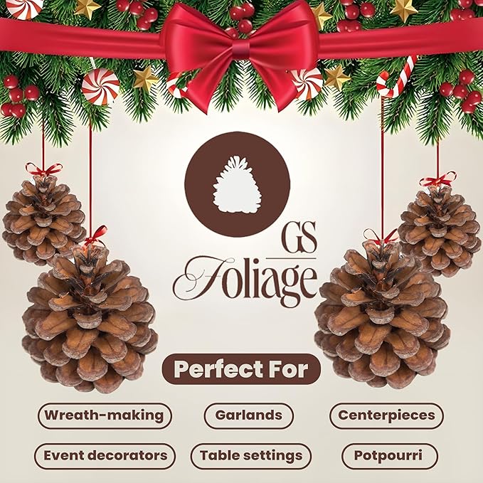 Natural Austriaca Pine Cones for Crafts - 2-3 Inch Real Pinecones for Christmas Decorating Ornaments, Holiday Decor Vase Filler - Rustic Woodland Dried Pine Cones - Set of 24 – Natural