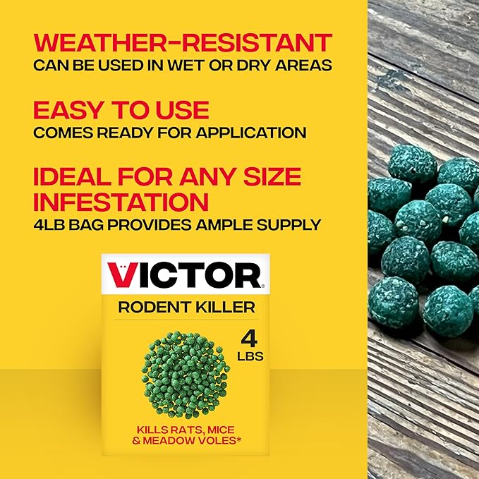 Victor Rat Poisoning for Inside & Outdoor Use - Kills Rats, Mice, Meadow Voles, Mouse Poisoning for Indoor & Outside Areas, Ready-to-Use, Yellow, M925, 4 lbs