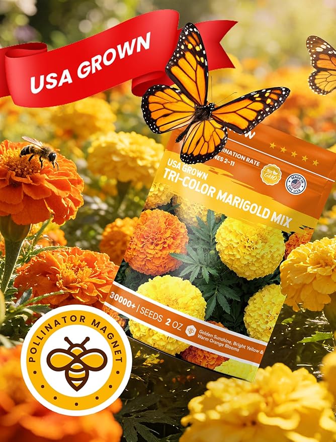 Tri-Color Marigold Seeds Bulk - 60,000+ Heirloom Flower Seeds for Planting Outdoors, Dwarf French Marigolds, Non-GMO Pollinator Magnet with High Germination, Quick Blooming