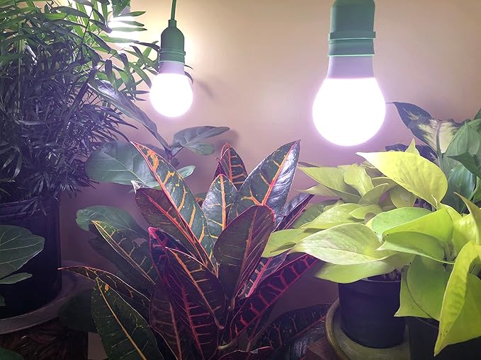 Miracle LED Citrus Tree Starter Grow Light Kit (Absolute Daylight Purple Spectrum Edition 2-Pack)