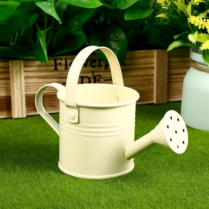 6PCS Kids Metal Watering Can Indoor Plants Small Watering Can for Indoor Plants Mini Gardening Tool Tiny Kettle for Gardening