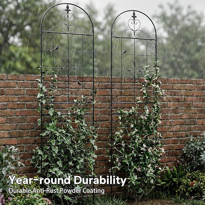 Garden Trellis for Climbing Plants Outdoor, Maidapulu 2 Pack 70.8x19.6 Inch Black Metal Trellis - Rustproof Lattice Support Panel with Easy Assembly for Roses, Clematis, Cucumbers, Vegetable Garden