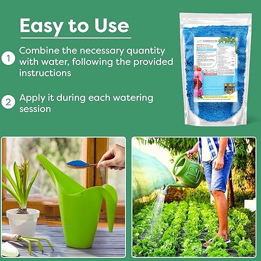Gardenwise 20-20-20 Water-Soluble Fertilizer – Powder for Liquid Plant Food for Indoor & Outdoor Plants, Orchids, Vegetables, Lawns, Flowers – 20 20 20 Fertilizer (20 QUARTS)