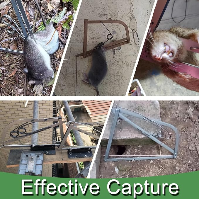 Reusable Outdoor Chipmunk Spring Trap - for Meadow, Woods, Orchard, Gardens & All Outdoor Spaces (1, M-6IN)