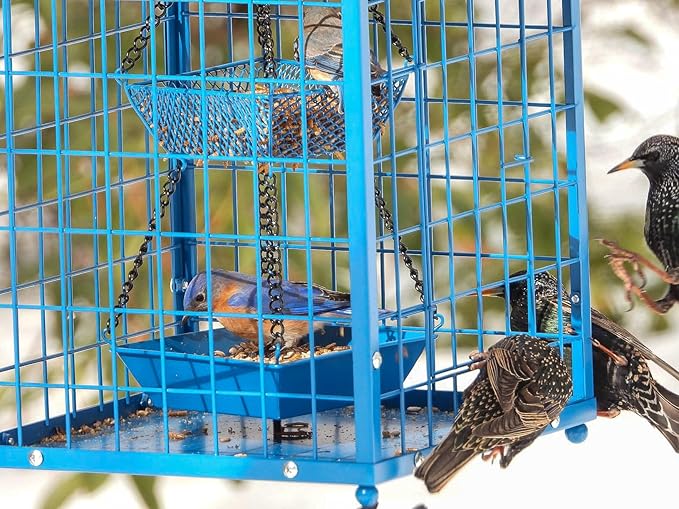Mosloly Bluebird Feeders Squirrel-Proof, 7 lbs, Large Heavy Metal Caged Mealworms Blue Bird Feeders for Outside, Weatherproof Wild Bird Feeder,2 Layer Seed Cups(Blue)