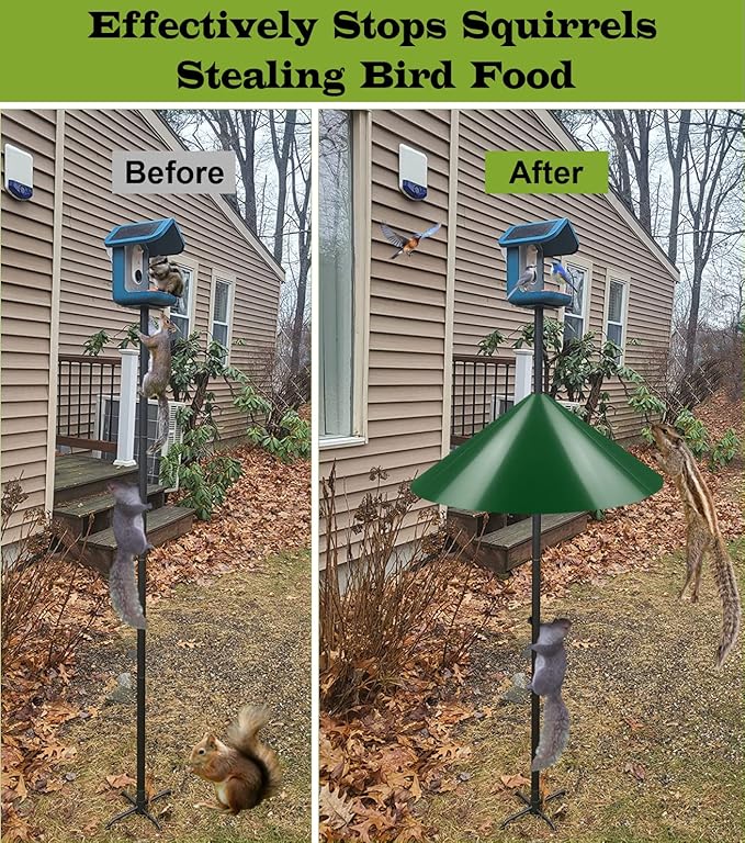 19 Inch Wide Squirrel Baffle for Bird Feeder Pole, Outside Pole Mount Stopper & Bird House Guard for Outdoor Shepherd’s Hook, Green, 1 Pack