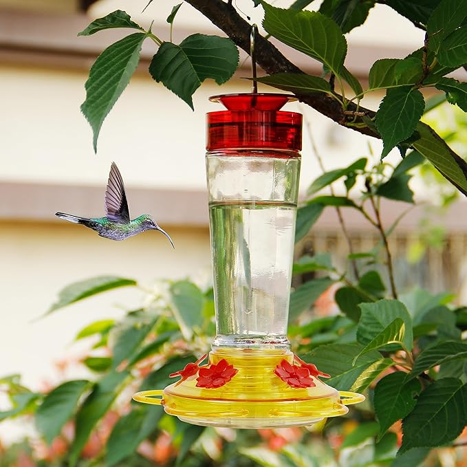 Shrdaepe Hummingbird Feeder, Glass Bottle Bird Feeders, 5 Feeding Ports (Red & Yellow)