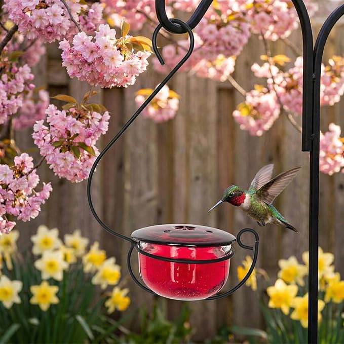 Glass Hummingbird Feeder - Handcrafted Clear Glass Bowl with Red Cap - 4 Feeding Ports - Decorative Hanging Hook - Easy Clean Outdoor Hummingbird Feeder for Nectar