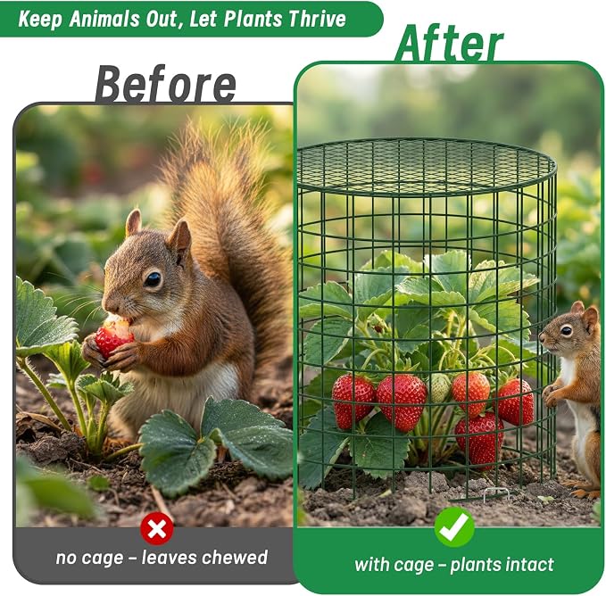 Convivium Plant Protectors from Animals 6 Packs, 13 x 12 in Metal Chicken Wire Cloche Plant Cages for Outdoor Plants, Garden Fencing Animal Barrier with Detachable Dome Lid, Stakes & Zip Ties