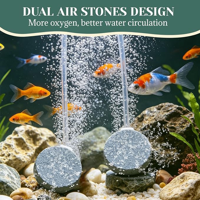 2W Solar Pond Aerator, Solar Air Pump with 2 Air Stones, Dual Working Modes, Solar Aerator for Pond, Fish Tank, Aquarium, Outdoor Fishing