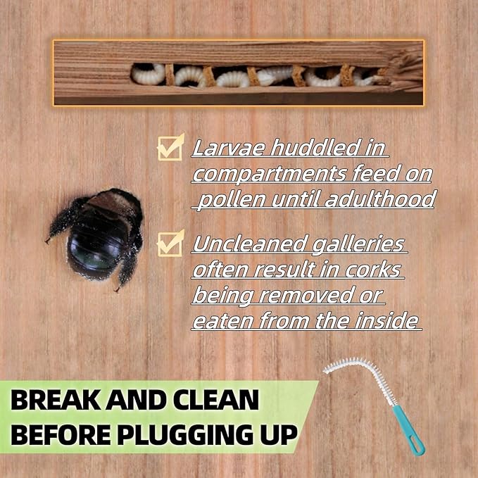 218 Pieces 3-in-1 Carpenter Bee Holes Repair Kit, Small Medium Large Wood Bee Hole Plugs, Carpenter Bee Corks Set, 3-Step Total Fix Solution