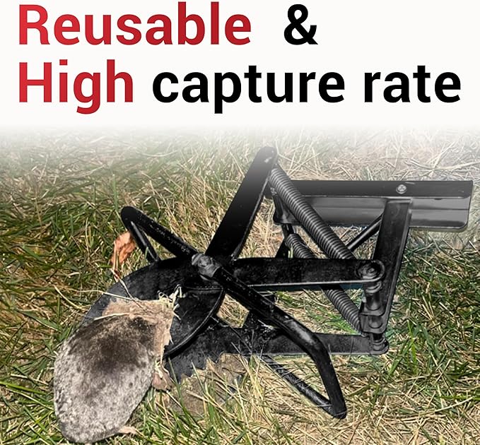 Mole Traps that Kill Best, 2 Pack Scissor Mole Trap, Sleek Black Stainless Steel Finish