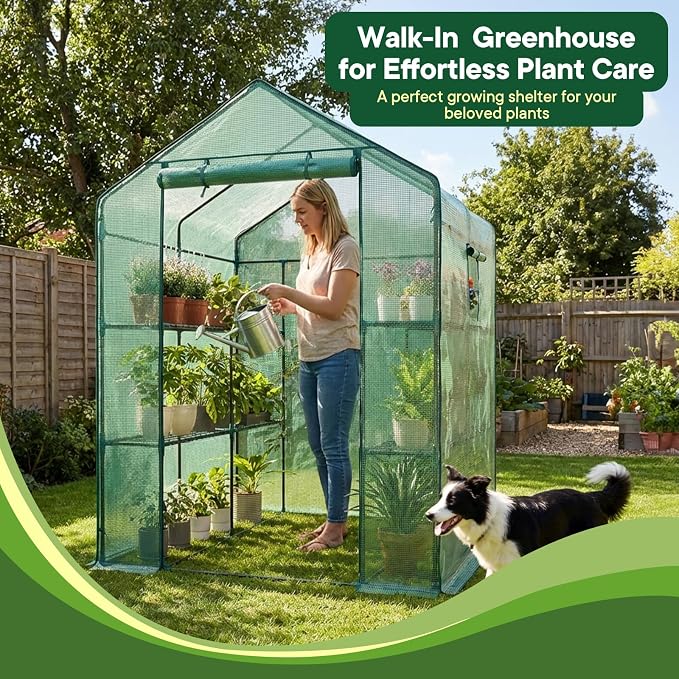 OLIXIS Outdoor Greenhouse, Walk-in Greenhouse with 2 Tier 8 Plant Shelves, Durable PVC Cover, 56"×56"×77" Portable Greenhouses for Outdoor Garden, Patio, Porch, Backyard Green Houses, Green