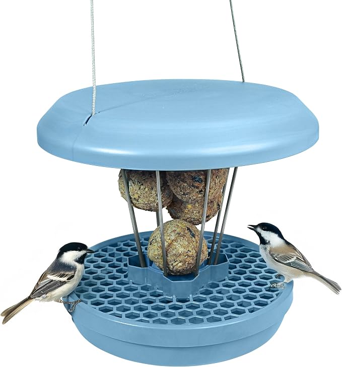SWISSINNO Bird Feeders - No Mess Fat Ball/Suet Feeder for Outdoors Hanging - Smart Birds Lucerne Spill Proof Wild Cardinal Bird Feeder with Integrated Seed Catcher Tray - Light Blue