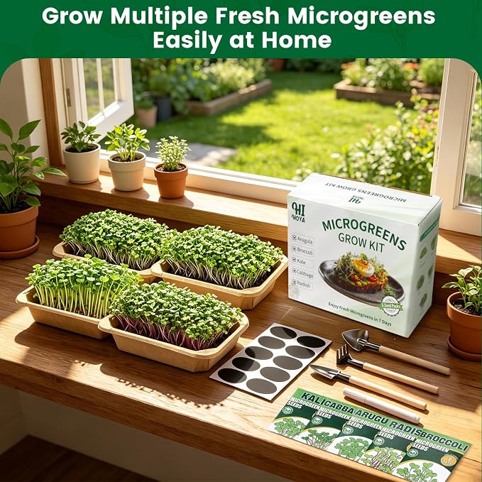 Microgreens Growing Kit Indoor Garden - Complete Micro Greens Growing Kits with 5 Seed Packs - Grow Broccoli, Arugula, Kale, Cabbage, Radish with Waterproof Trays - Grow Microgreens Indoor for Health