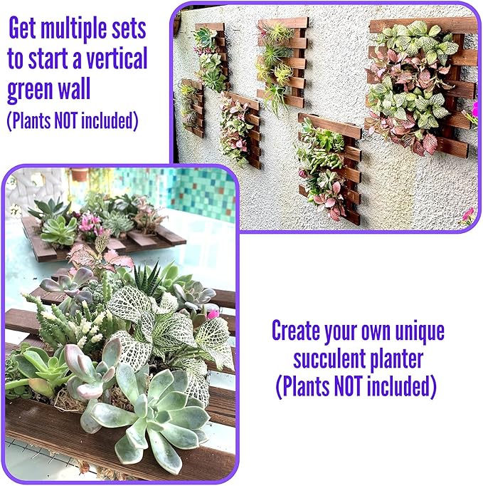 LalaGreen Bundle - 5" Pot + 2 Wooden Plant Holder, White Self Watering Pot, Wall Hanging Planters for Indoor and outdoor,Wall Mount Air Plants Succulent Holder Hanger,Vertical Garden Plant Stand Decor