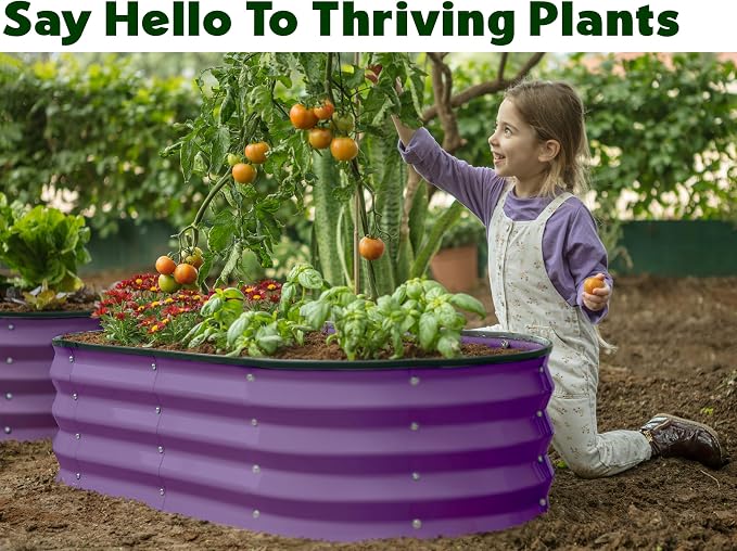 Plant & Plot Galvanized Raised Garden Beds Outdoor // 4×2×1 ft (2-Pack) Planter Raised Beds for Gardening, Vegetables, Flowers (Purple) // Large Metal Garden Box