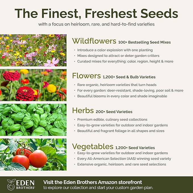 Eden Brothers Dry Area Wildflower Mixed Seeds for Planting, 1 lb, 480,000+ Seeds with Cosmos, African Daisy, Blue Flax | Attracts Pollinators, Plant in Spring or Fall, Zones 3, 4, 5, 6, 7, 8, 9, 10