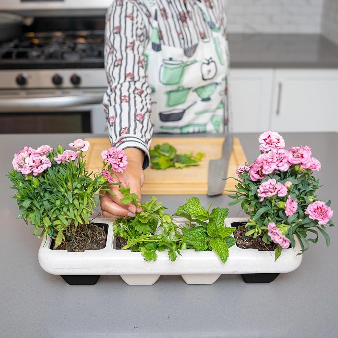 Eco-Friendly Wheat Fiber No Plastic Planter. Floating Window Shelf for Plants & Herb Garden with Removable Pots (Black & White Pots)