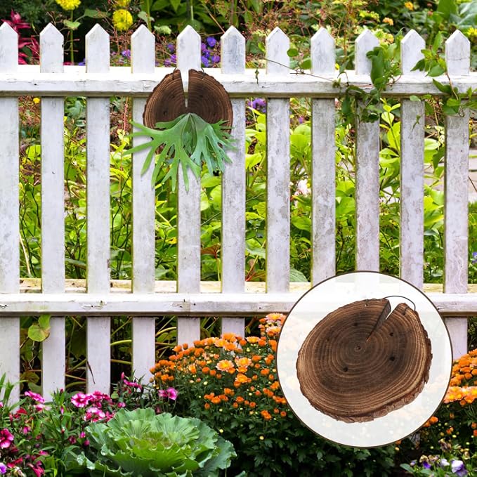 DOITOOL Fern Wall Mount Board Hanging Wall Planter for Indoor Outdoor Plants Rustic Decor for Home Garden 8.66 X 7.08 X 1.02 in 1 Pack