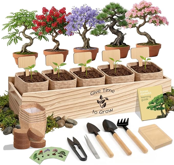 Bonsai Tree Starter Kit for Beginners 5 Unique Indoor Bonsai Trees with Gardening Tools DIY Bonsai Growing Kit Perfect Gifts for Women Men Plant Lovers for Birthday Mothers Day Housewarming