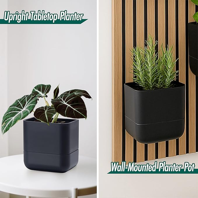 Phoenix Vine 6.5 Inch Wall Mounted Self-Watering Planter Pot for Indoor Houseplants and Herbs | Hanging Planter for Window Sills, Bathroom Walls, Home & Office Décor, Black, Set of 2, 01-C-E-2