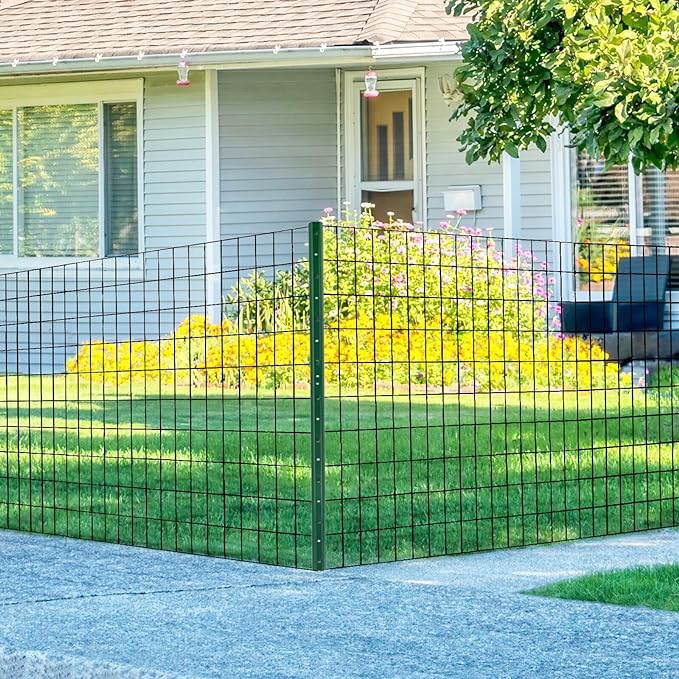 Wire Fence 36in x 50ft, 2 x 3 Inch 16GA, Garden Fence Garden Border Fencing Roll Vinyl Coating Metal Wire Mesh Hardware Cloth for Yard Vegetable Plant Protection Poultry Netting