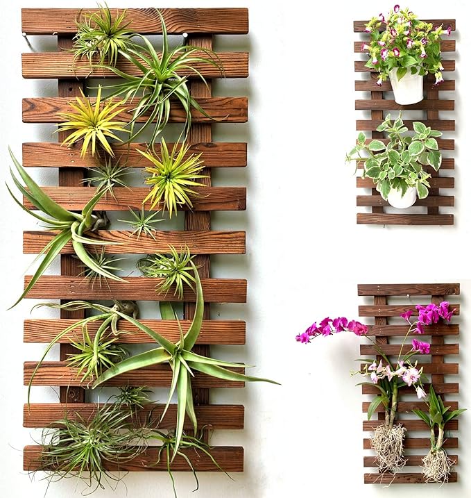 ShopLaLa Bundle- 1 Pack,23.6 Inch Wooden Plant Holder + 10 Pack, 4 Inch Black Self Watering Pot Wall Mount Hanging Indoor Hydroponic Garden Display Live Vertical Air Plant Succulent Frame Modern Decor