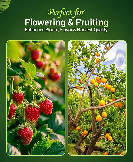 FoxFarm Bush Doctor Bembé Sweet & Dandy Liquid Plant Fertilizer - Complex Nutrient Blend - 0-1-3 PK Fertilizer for In-Ground & Hydroponic Gardens - 1 Gallon